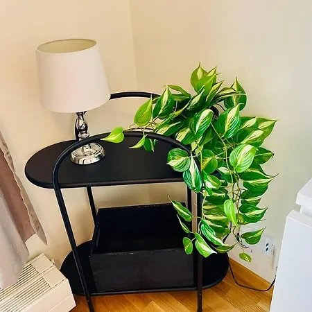 Mobiliado Em Noruega *